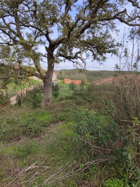 Terreno para Venda em São Marcos da Serra