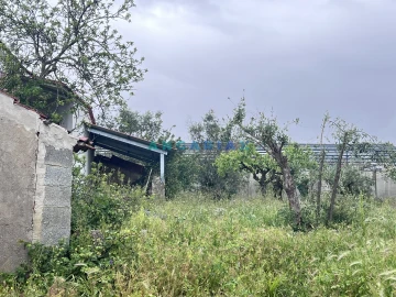 Moradia T1 para Venda em Urqueira