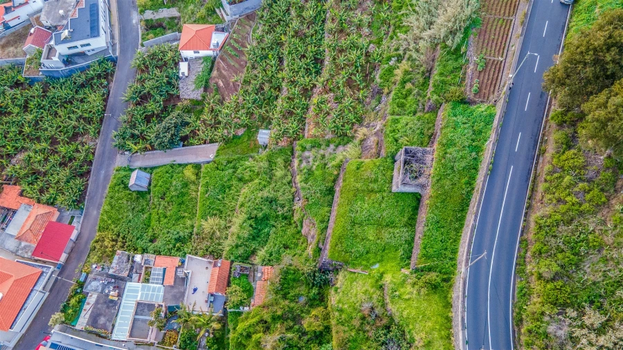 Terreno para Venda em Arco da Calheta Foto 16
