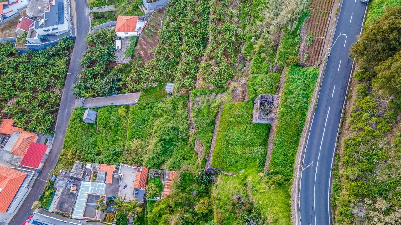 Terreno para Venda em Arco da Calheta Foto 16