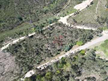 Terreno Comércio / Armazém para Venda em Campo e Sobrado