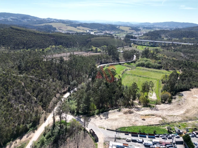 Terreno Comércio / Armazém para Venda em Campo e Sobrado Foto 5