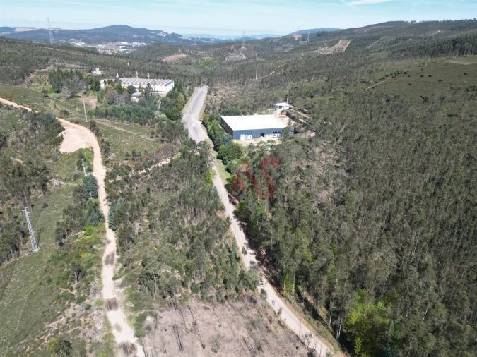 Terreno Comércio / Armazém para Venda em Campo e Sobrado Foto 4