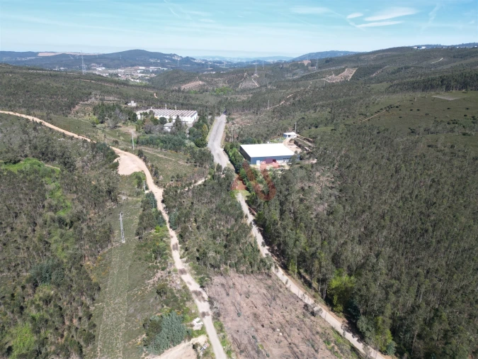 Terreno Comércio / Armazém para Venda em Campo e Sobrado Foto 3