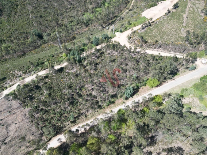 Terreno Comércio / Armazém para Venda em Campo e Sobrado Foto 6