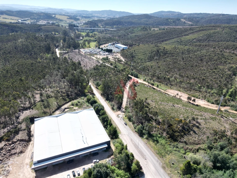 Terreno Comércio / Armazém para Venda em Campo e Sobrado Foto 2