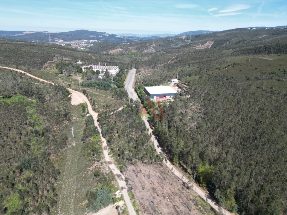 Terreno Comércio / Armazém para Venda em Campo e Sobrado Foto 3