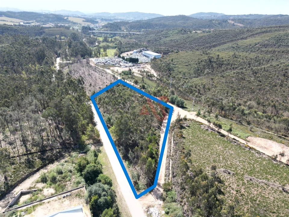Terreno Comércio / Armazém para Venda em Campo e Sobrado Foto 1