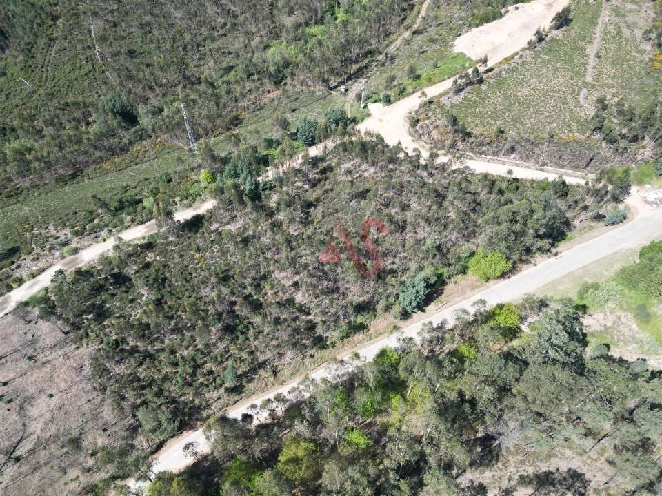 Terreno Comércio / Armazém para Venda em Campo e Sobrado Foto 6
