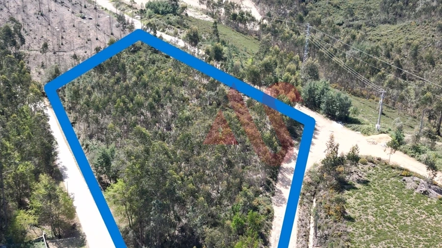 Terreno Comércio / Armazém para Venda em Campo e Sobrado