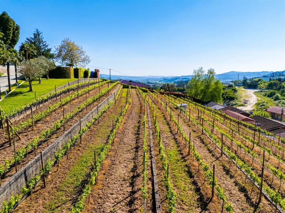Moradia T6 para Venda em Cristelos, Boim e Ordem Foto 61