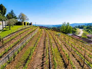 Moradia T6 para Venda em Cristelos, Boim e Ordem