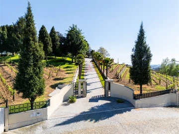 Moradia T6 para Venda em Cristelos, Boim e Ordem