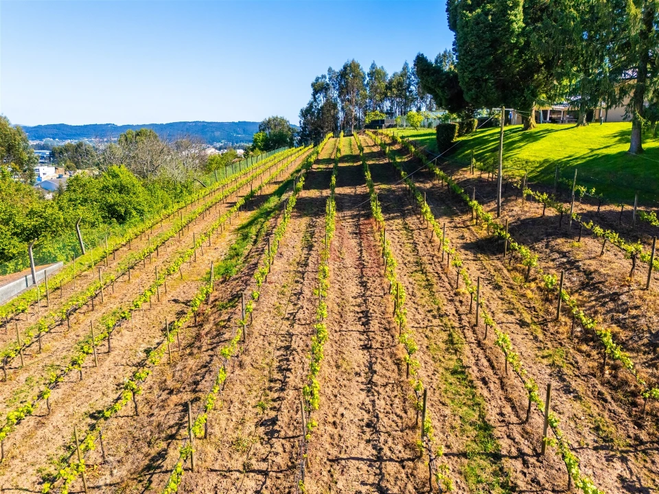 Moradia T6 para Venda em Cristelos, Boim e Ordem Foto 58