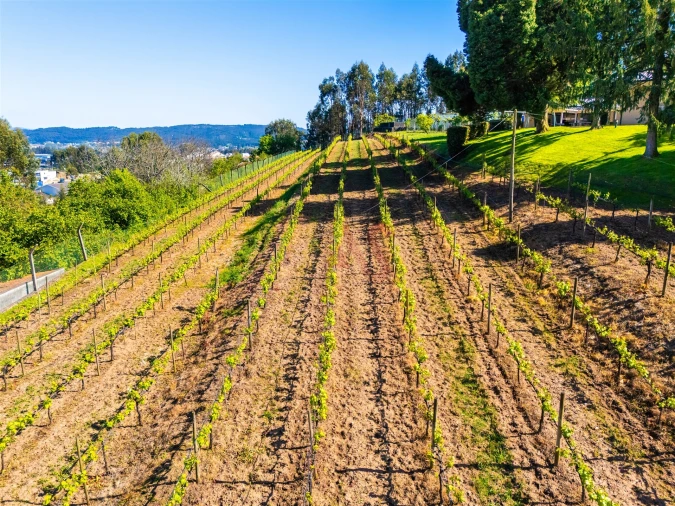 Moradia T6 para Venda em Cristelos, Boim e Ordem Foto 58