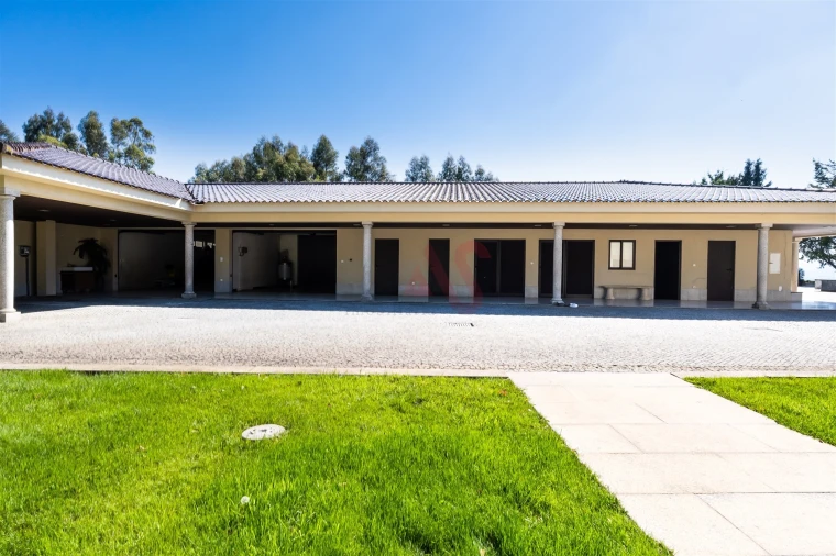 Moradia T6 para Venda em Cristelos, Boim e Ordem Foto 35