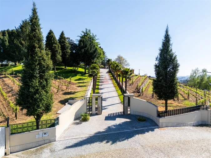 Moradia T6 para Venda em Cristelos, Boim e Ordem Foto 59