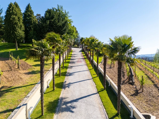 Moradia T6 para Venda em Cristelos, Boim e Ordem Foto 60