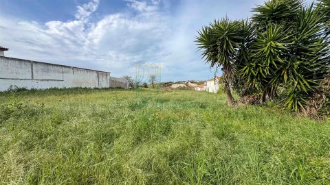 Terreno Agricola ou Rústico para Venda em Vau