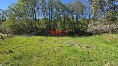 Terreno Agricola ou Rústico para Venda em Silgueiros