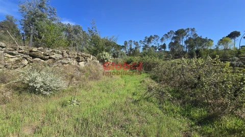 Terreno Agricola ou Rústico para Venda em Silgueiros