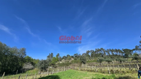 Terreno Agricola ou Rústico para Venda em Silgueiros