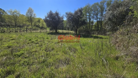 Terreno Agricola ou Rústico para Venda em Silgueiros