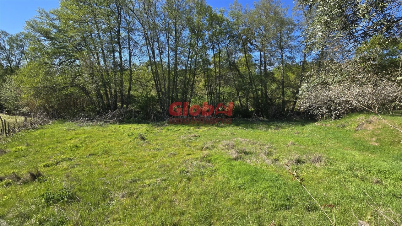 Terreno Agricola ou Rústico para Venda em Silgueiros Foto 4