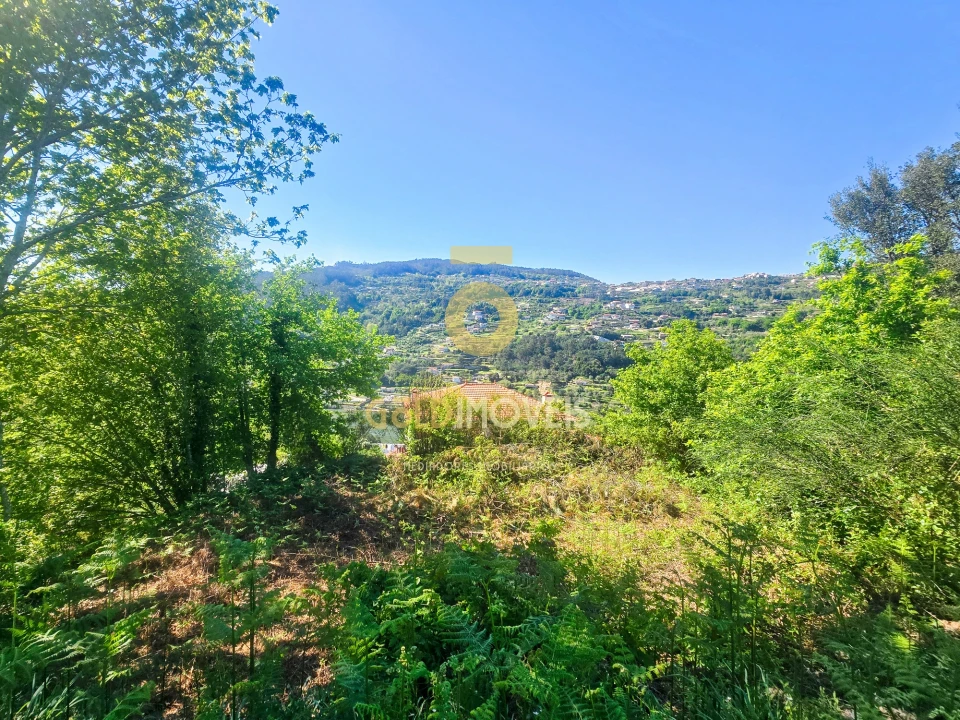 Moradia T2 para Venda em Espadanedo Foto 8