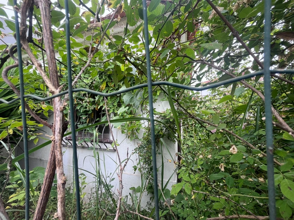 Terreno para Venda em Lordelo do Ouro e Massarelos Foto 9