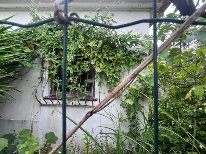 Terreno para Venda em Lordelo do Ouro e Massarelos Foto 2