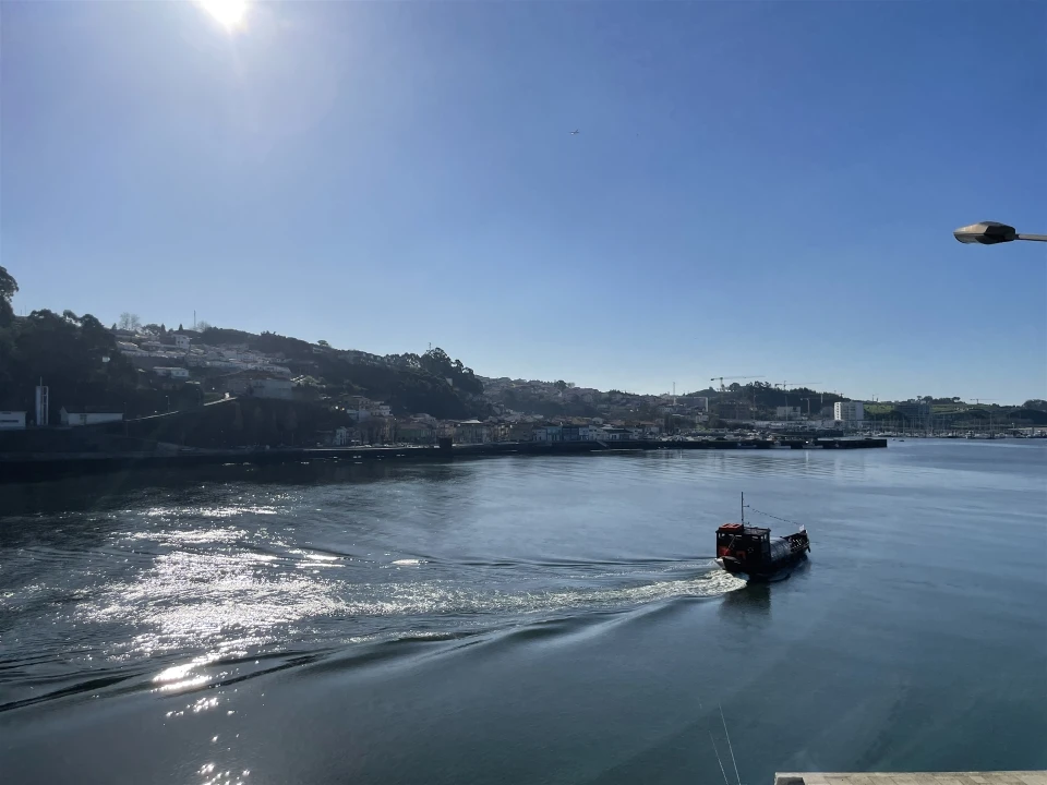 Terreno para Venda em Lordelo do Ouro e Massarelos Foto 15