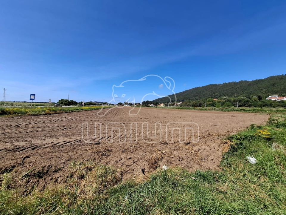 Terreno para Venda em Carreço Foto 2