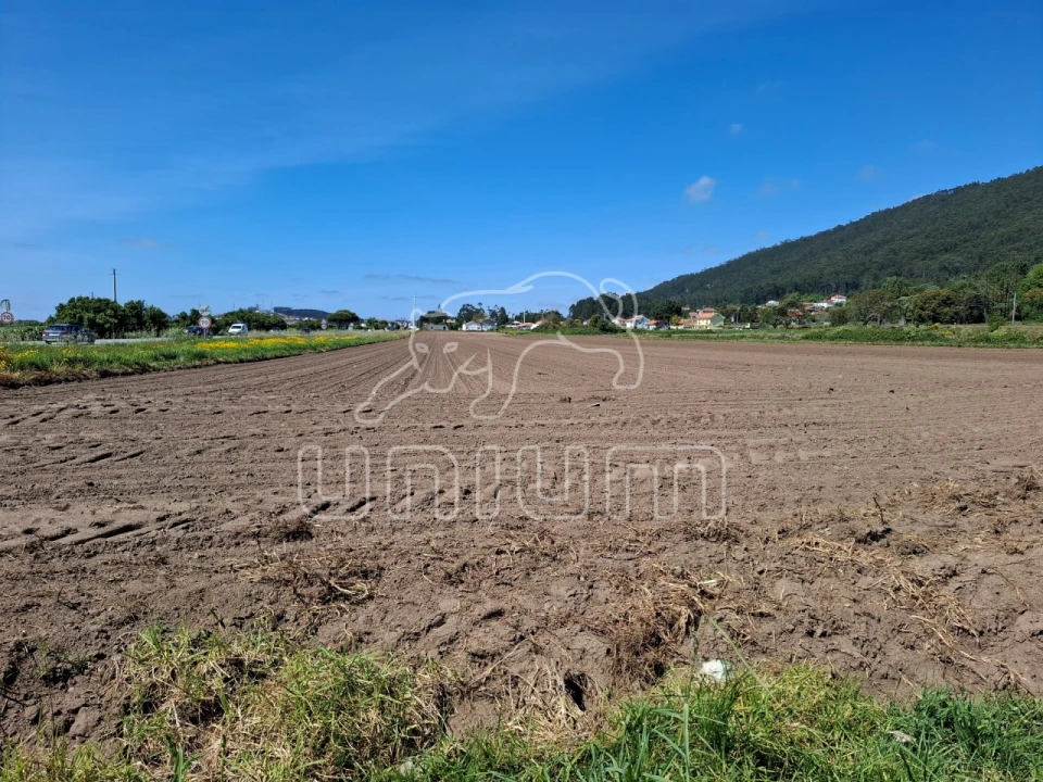 Terreno para Venda em Carreço Foto 3