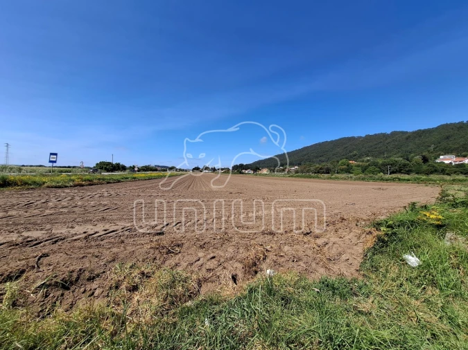Terreno para Venda em Carreço Foto 2