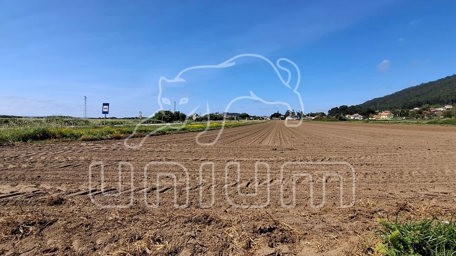 Terreno para Venda em Carreço
