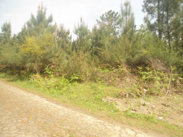 Terreno para Venda em Sapardos