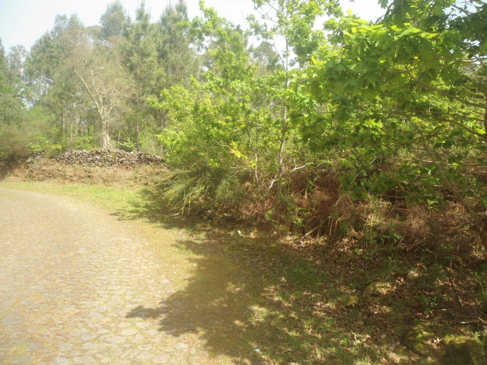 Terreno para Venda em Sapardos Foto 3