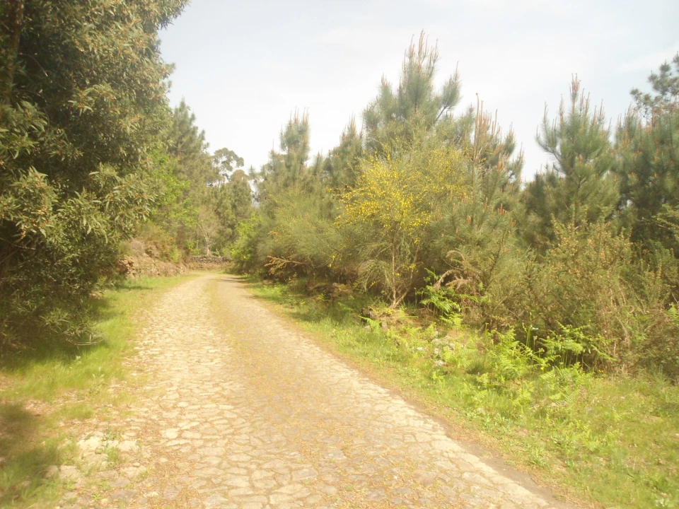 Terreno para Venda em Sapardos Foto 4