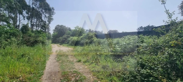 Terreno para Venda em Póvoa de Varzim, Beiriz e Argivai