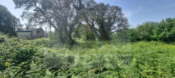 Terreno para Venda em Póvoa de Varzim, Beiriz e Argivai