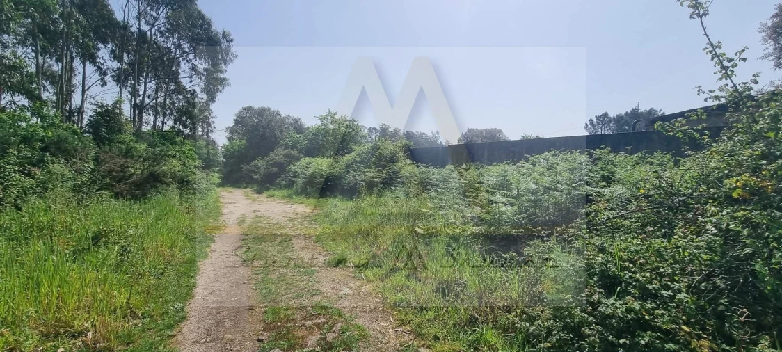 Terreno para Venda em Póvoa de Varzim, Beiriz e Argivai Foto 2