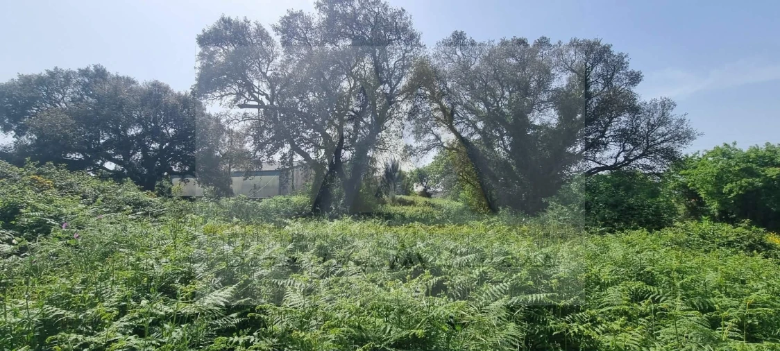 Terreno para Venda em Póvoa de Varzim, Beiriz e Argivai Foto 7