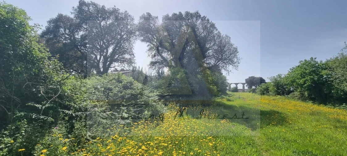 Terreno para Venda em Póvoa de Varzim, Beiriz e Argivai Foto 6