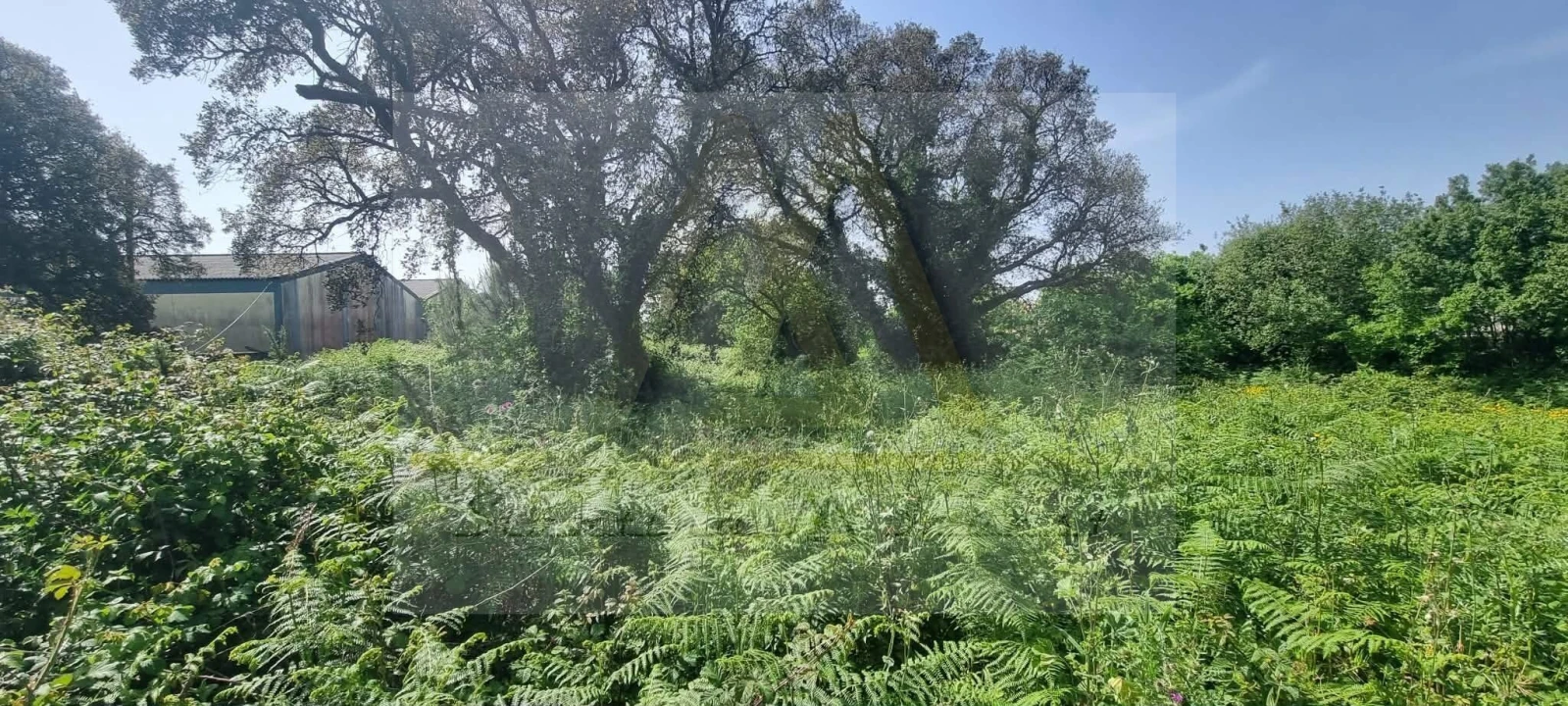 Terreno para Venda em Póvoa de Varzim, Beiriz e Argivai Foto 5