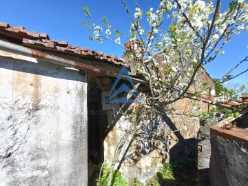 Quinta T3 para Venda em Pombal