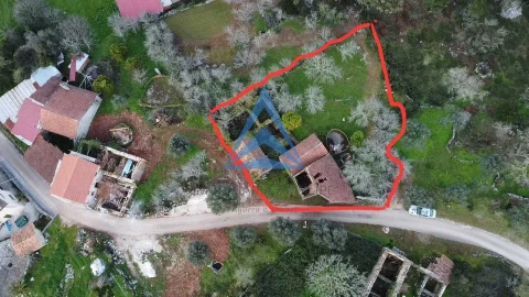 Quinta T3 para Venda em Pombal