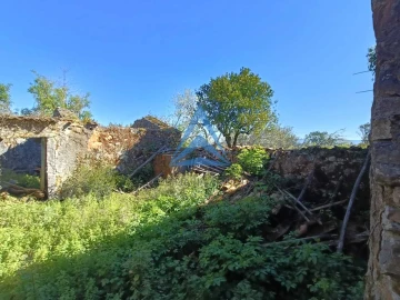 Quinta T3 para Venda em Pombal