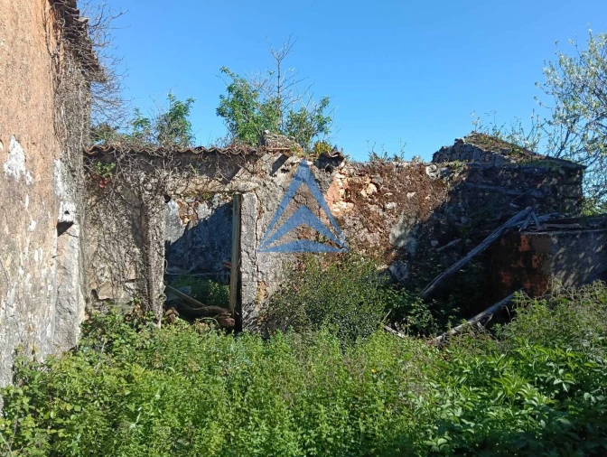 Quinta T3 para Venda em Pombal Foto 4