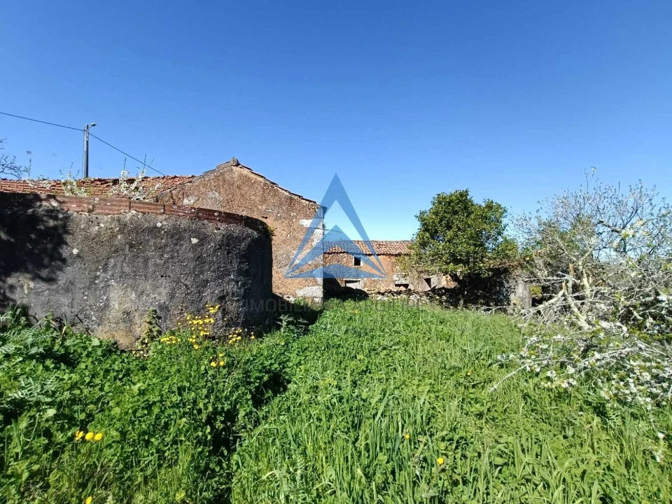 Quinta T3 para Venda em Pombal Foto 18